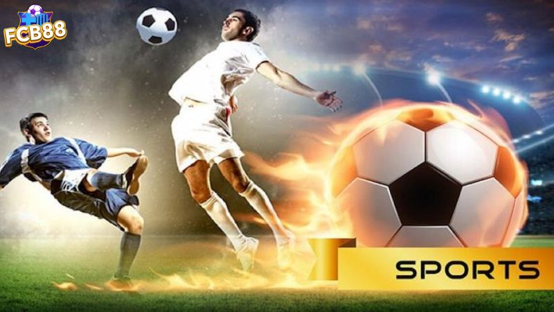 Các mẹo cá cược E Sport FCB88 dành cho các cược thủ